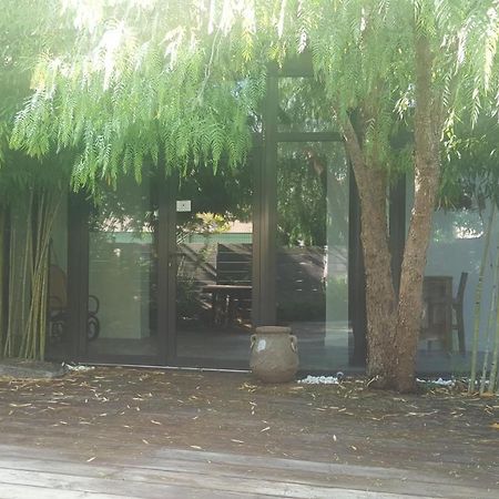 Les Aromatiques - Terrasse & Parking Prive A Villeneuve Les Avignon - Proche Golf Academy Exteriör bild